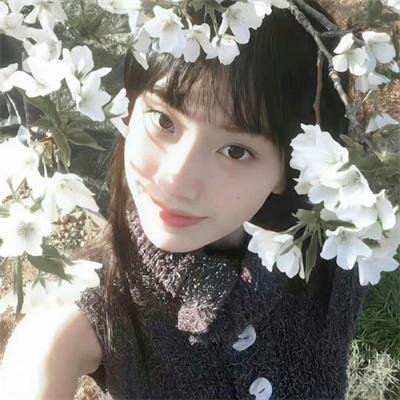 至高之牌第二季