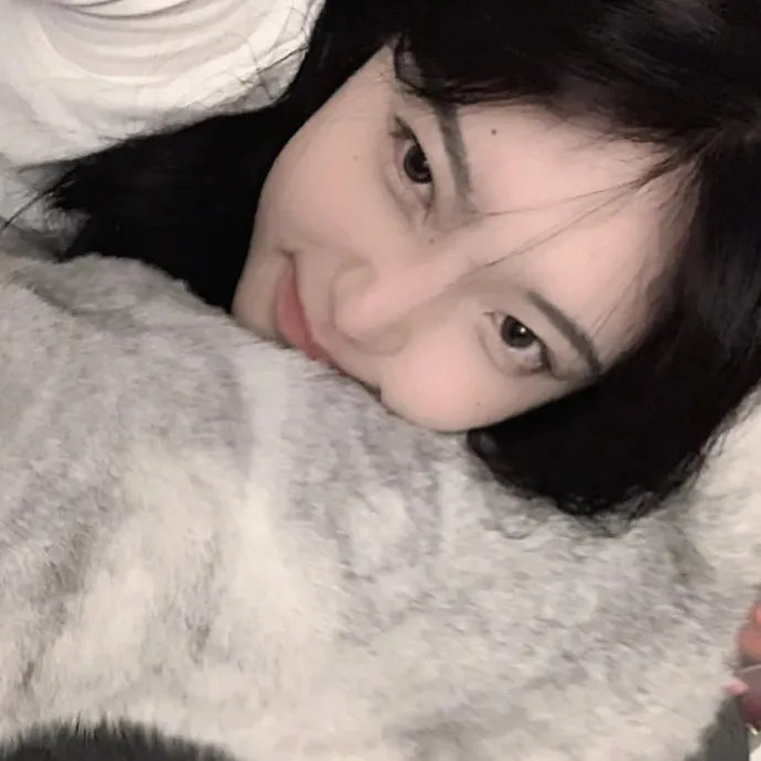 鹡鸰女神第一季